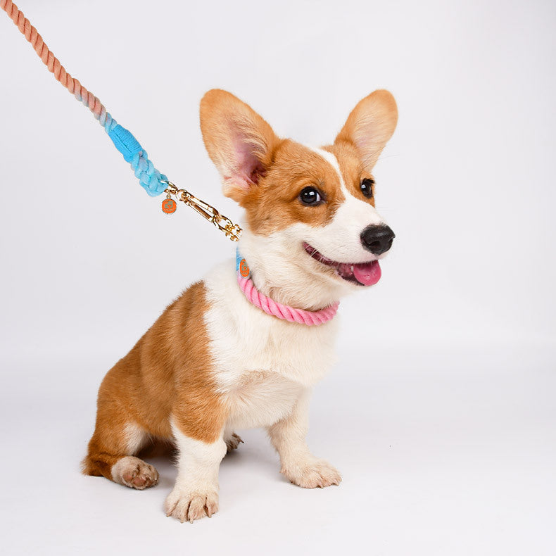 Braided Rope Explosion-Proof Dog Collar