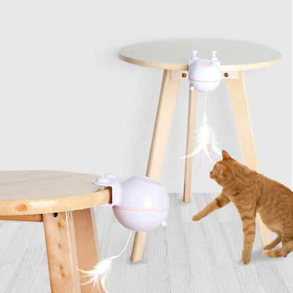 Pet Toy Ball with USB Electric Teaser Wand (Replaceable)