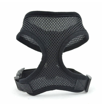 Padded Vest for Small Dogs and Cats