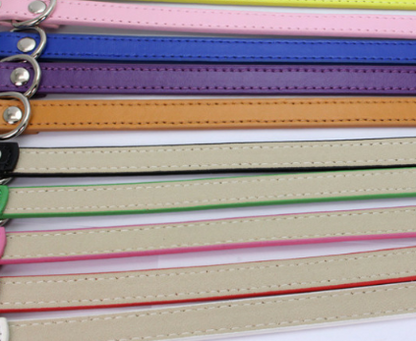 Cat and Dog Collar with Leash