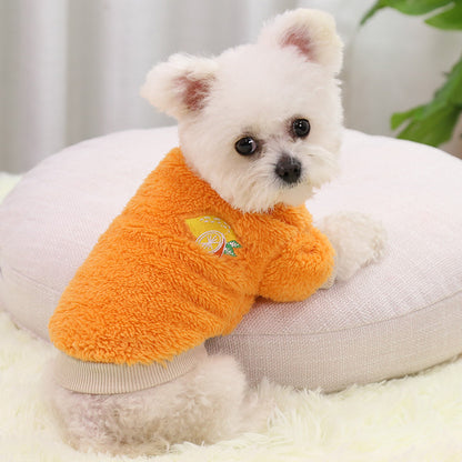 Warm Two-Legged Dog Outfit for New Year's Celebration