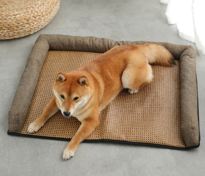 Universal Pet Sofa for All Seasons