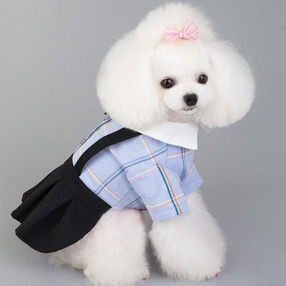New Spring/Summer Dog Couple Outfits for Students