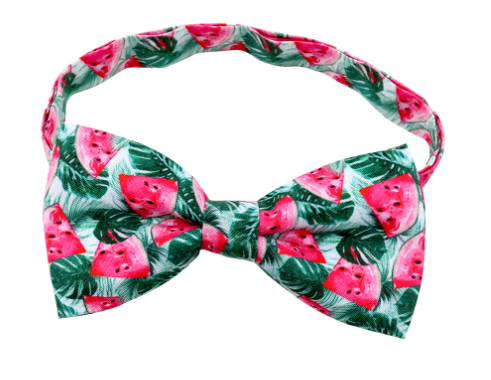 Cactus Bow Tie Pet Decorations for Dogs and Cats