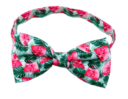 Cactus Bow Tie Pet Decorations for Dogs and Cats