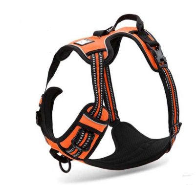 Truelove Adjustable Reflective Nylon Harness for Dogs