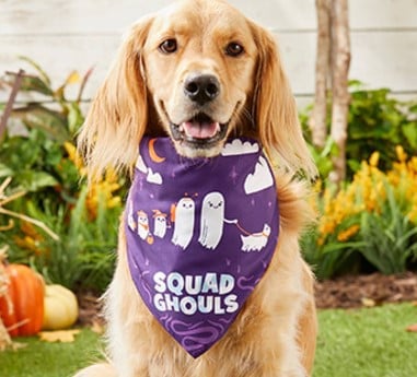 Cute Triangle Scarf for Pets - Funny Bib Towel