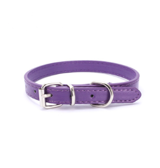 Cat and Dog Collar with Leash