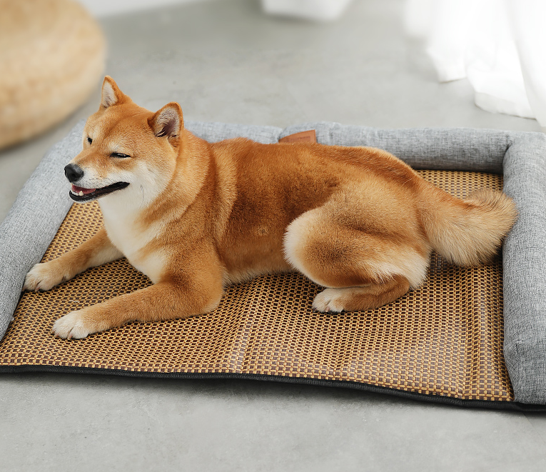 Universal Pet Sofa for All Seasons