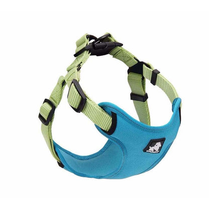 Dog Leash with Collar for Walking Your Dog