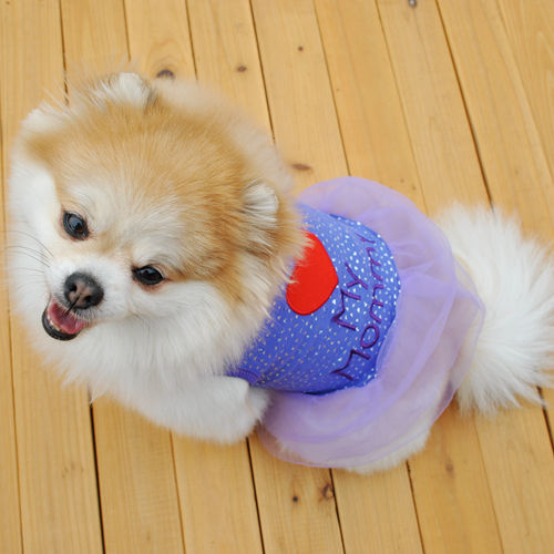 Embroidered Pet Dog Clothes and Skirts