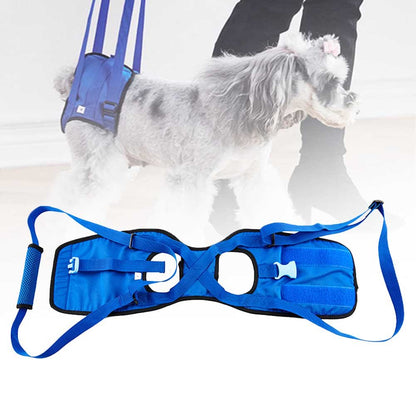 Portable Elastic Harness for Disabled Dog Support