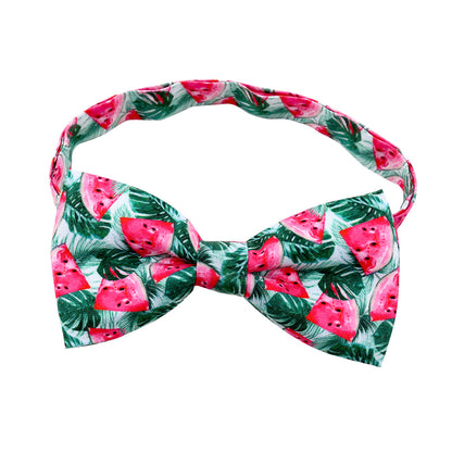 Cactus Bow Tie Pet Decorations for Dogs and Cats