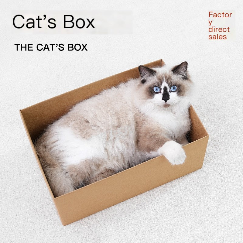 Durable Corrugated Paper Cat House and Scratching Pad