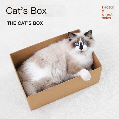Durable Corrugated Paper Cat House and Scratching Pad