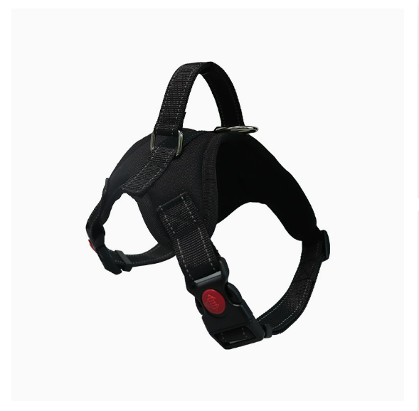Durable Oxford Cloth Pet Leash and Vest Combo
