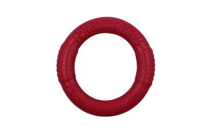 Interactive Floating Dog Toy - Training Ring Puller