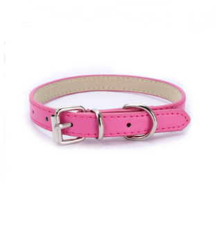 Cat and Dog Collar with Leash