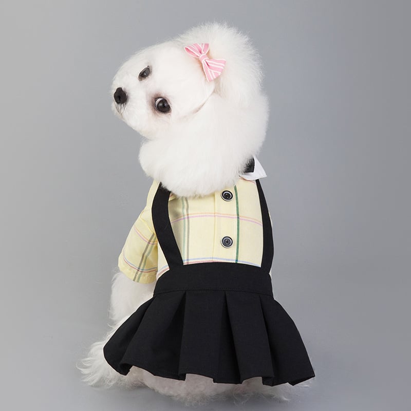 New Spring/Summer Dog Couple Outfits for Students