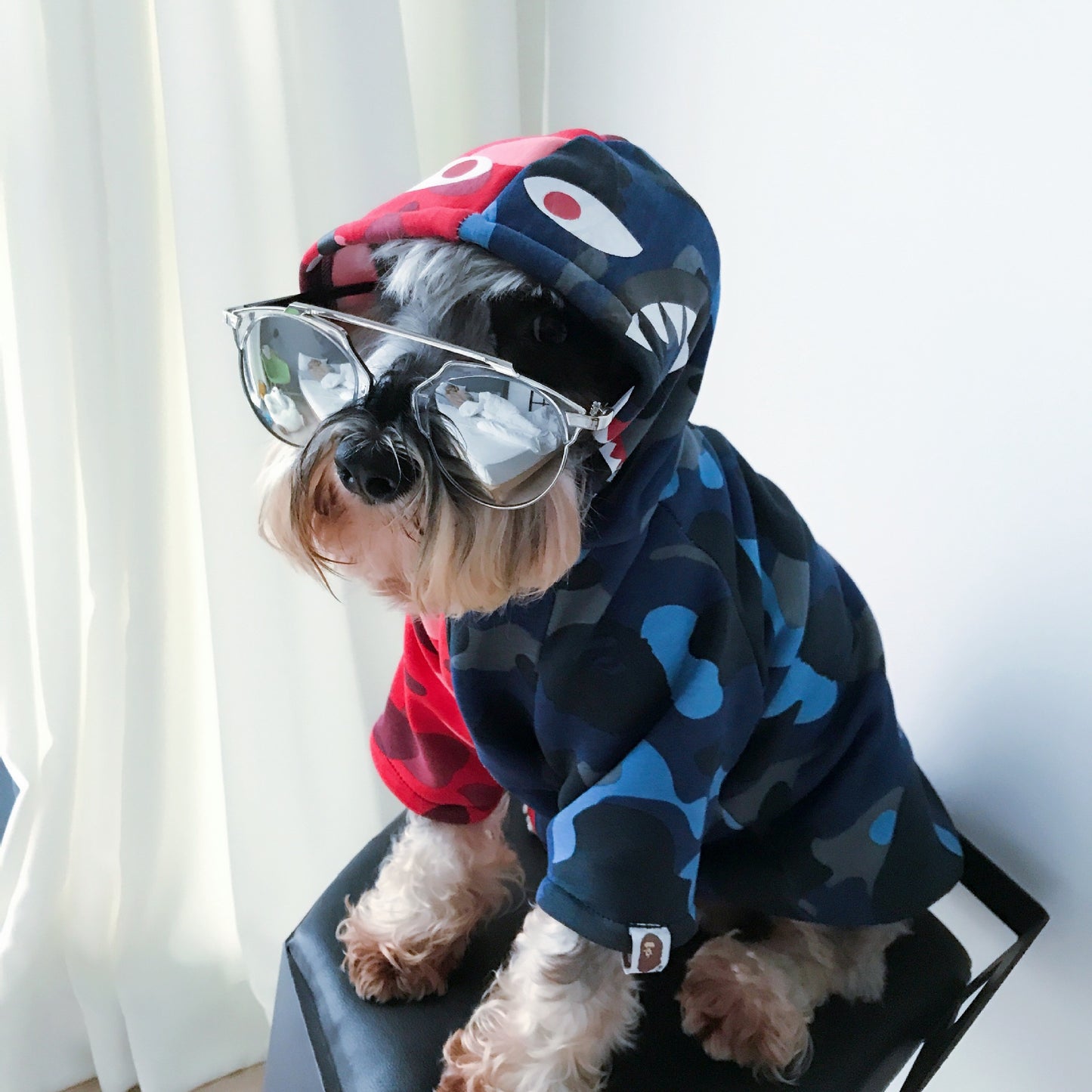 Thick Fall/Winter Pet Hoodie for Dogs and Cats