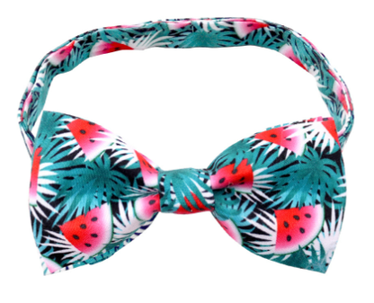 Cactus Bow Tie Pet Decorations for Dogs and Cats