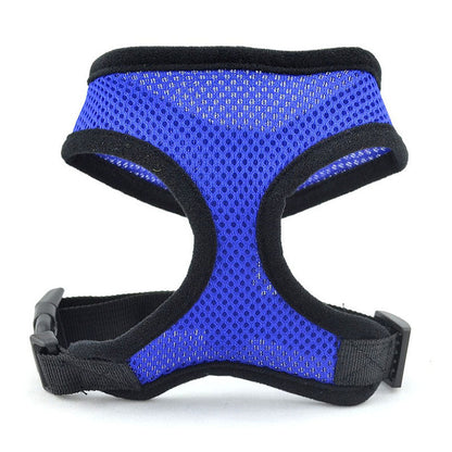 Padded Vest for Small Dogs and Cats