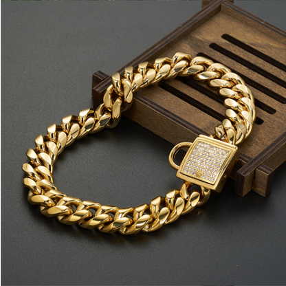 Titanium Steel Dog Collar with Gold Chain Buckle