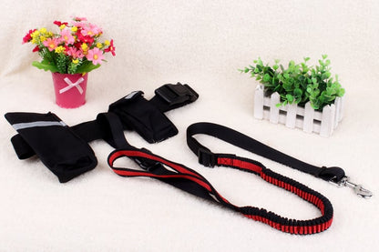 Multifunctional Nylon Stretch Dog Leash for Running