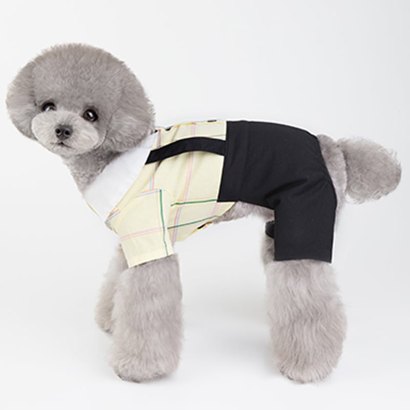 New Spring/Summer Dog Couple Outfits for Students
