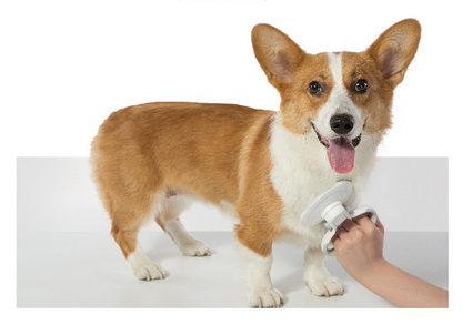 Self-Cleaning Steel Wire Brush for Pets (Dog Grooming Tool)
