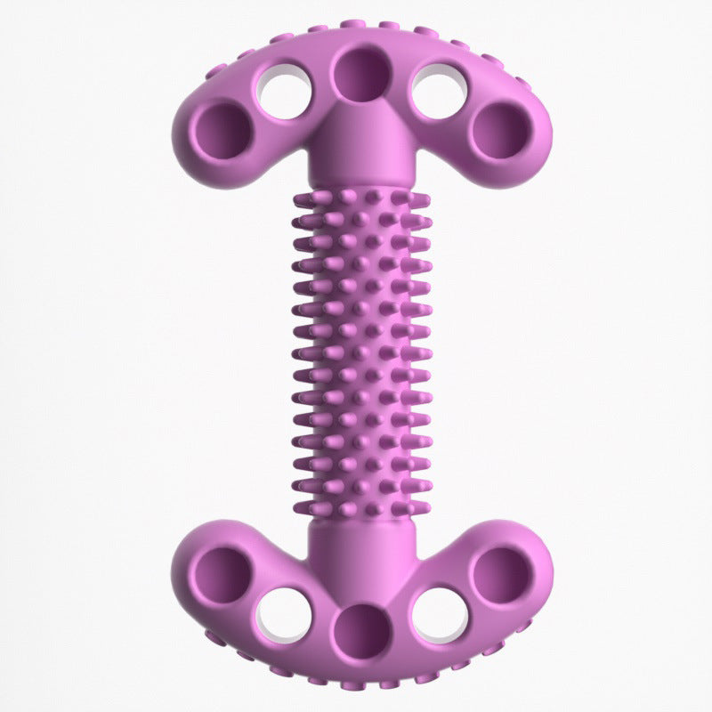 Bite Resistant Dog Bone Teeth Grinding Educational Toy
