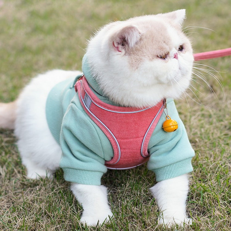 Cat Leash Vest Harness for Comfortable Walks