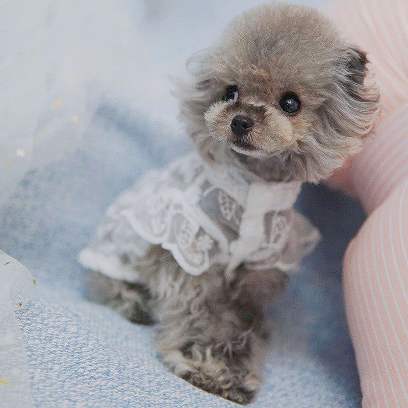 Lace Sunscreen Skirt for Dogs and Cats