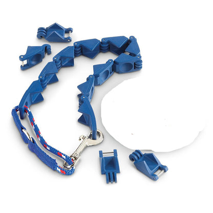 CD-free Dog Collar and Leash Combo