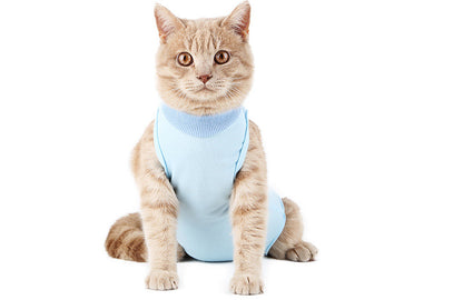 Weaning Clothes for Female Cats Post-Surgery