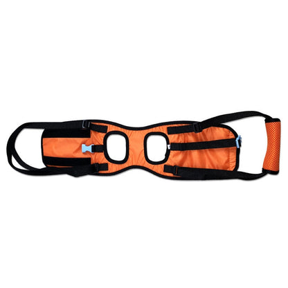 Portable Elastic Harness for Disabled Dog Support