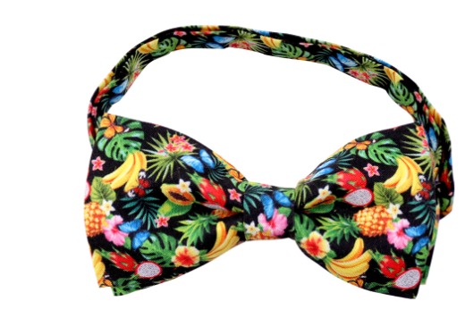 Cactus Bow Tie Pet Decorations for Dogs and Cats