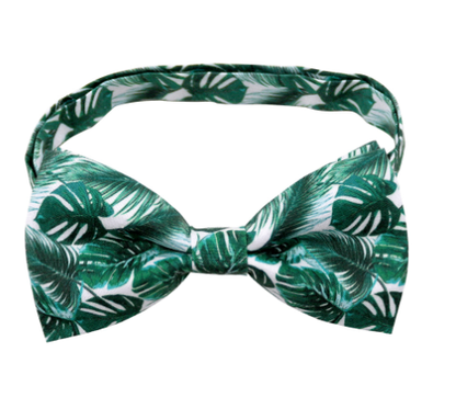 Cactus Bow Tie Pet Decorations for Dogs and Cats
