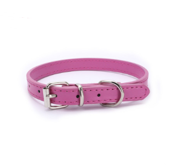 Cat and Dog Collar with Leash